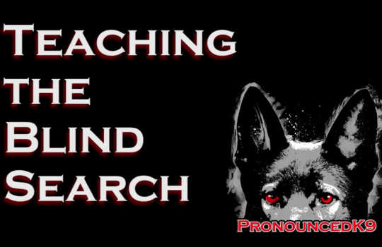 Teaching the Blind Search